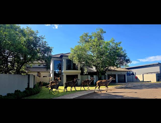 5 BEDROOM HOUSE FOR SALE IN SABLE HILLS